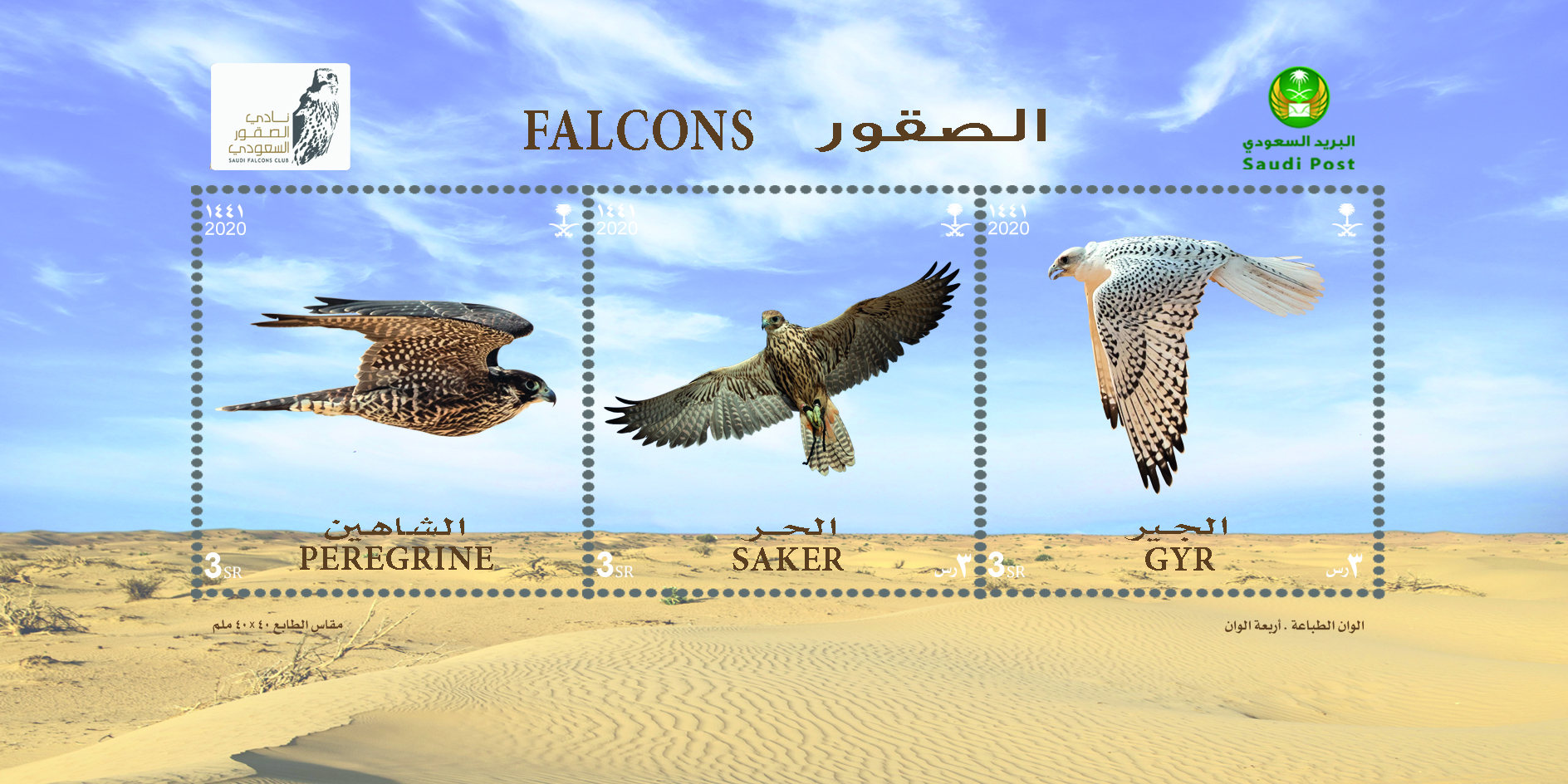 Saudi Post Issued a Postal Stamp on Falcons